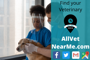 Find your Veterinary - allvetnearme.com 16